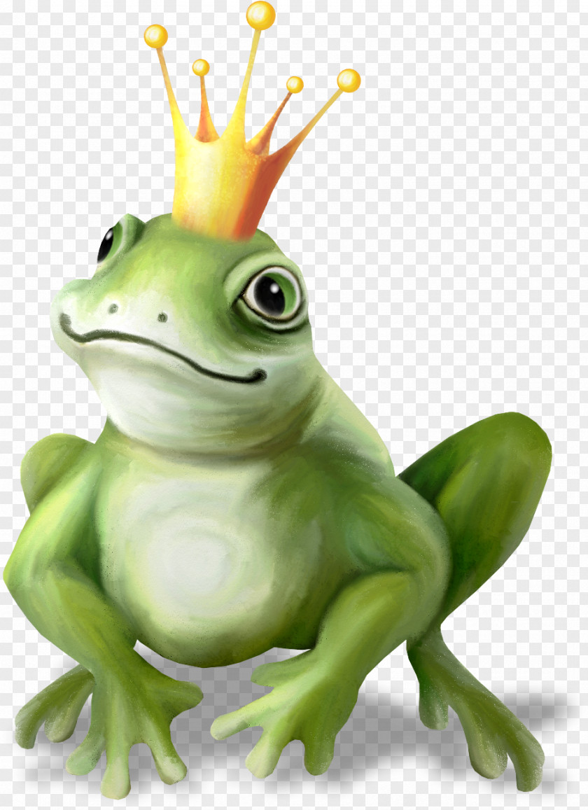 Beautiful Hand-painted Frog Prince PNG hand-painted frog prince clipart PNG