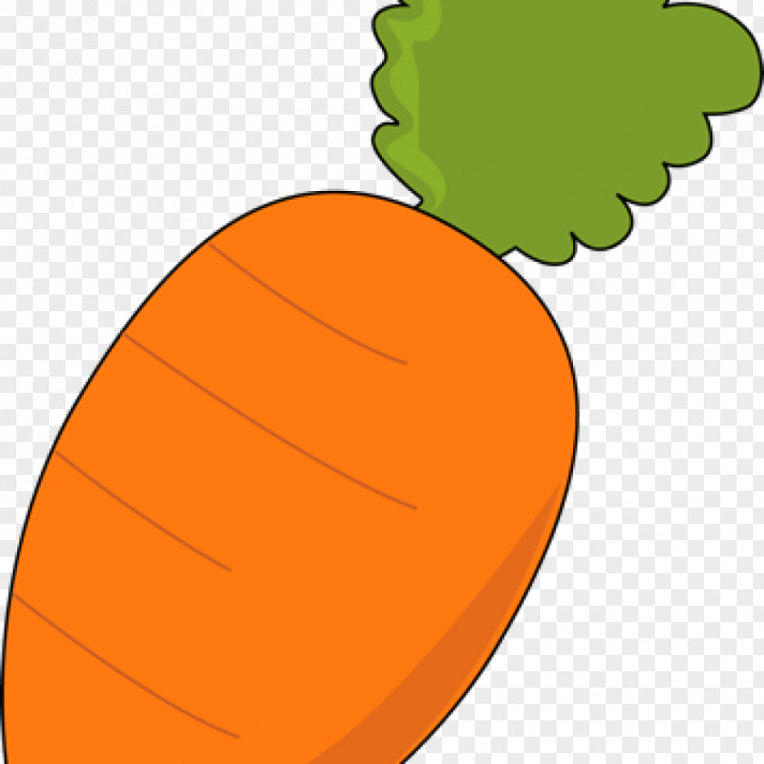 Carrot Clip Art Image Free Content Vector Graphics PNG