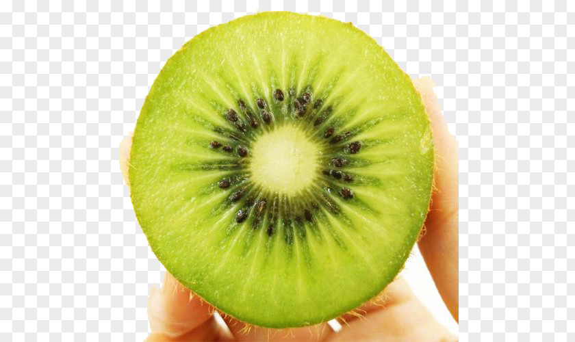 Kiwi Fruit Kiwifruit Auglis Food PNG