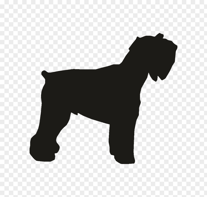 Norfolk Terrier Miniature Schnauzer Dog Breed Rottweiler Dobermann Pit Bull PNG