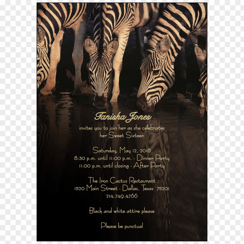 Party Wedding Invitation Sweet Sixteen Mammal PNG