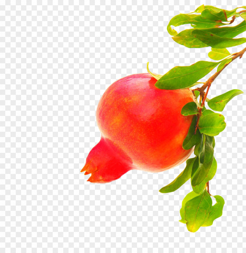 Red Pomegranate Barbados Cherry Stock Photography PNG
