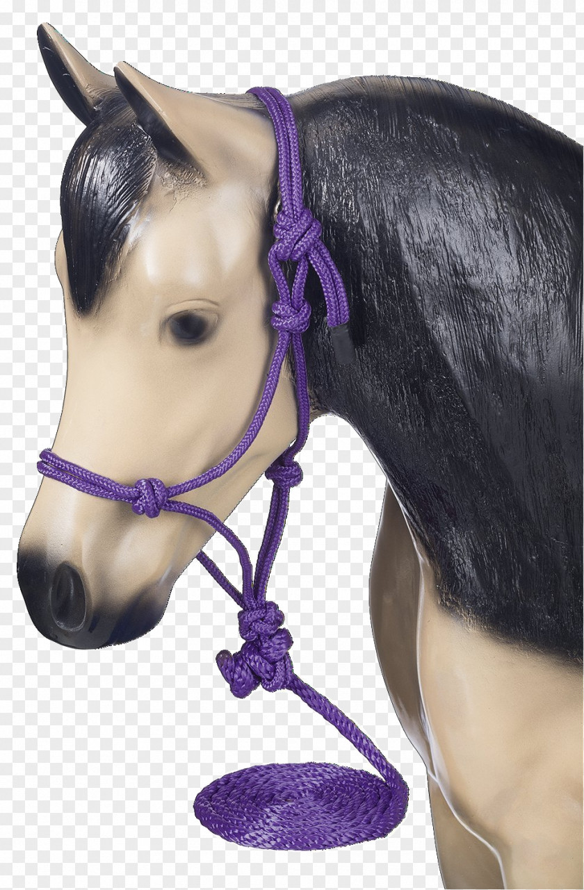 Rope Halter American Miniature Horse Pony Bridle Lead PNG