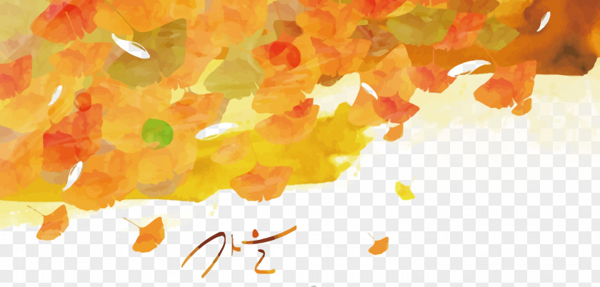 Vector Autumn Leaves Illustration PNG
