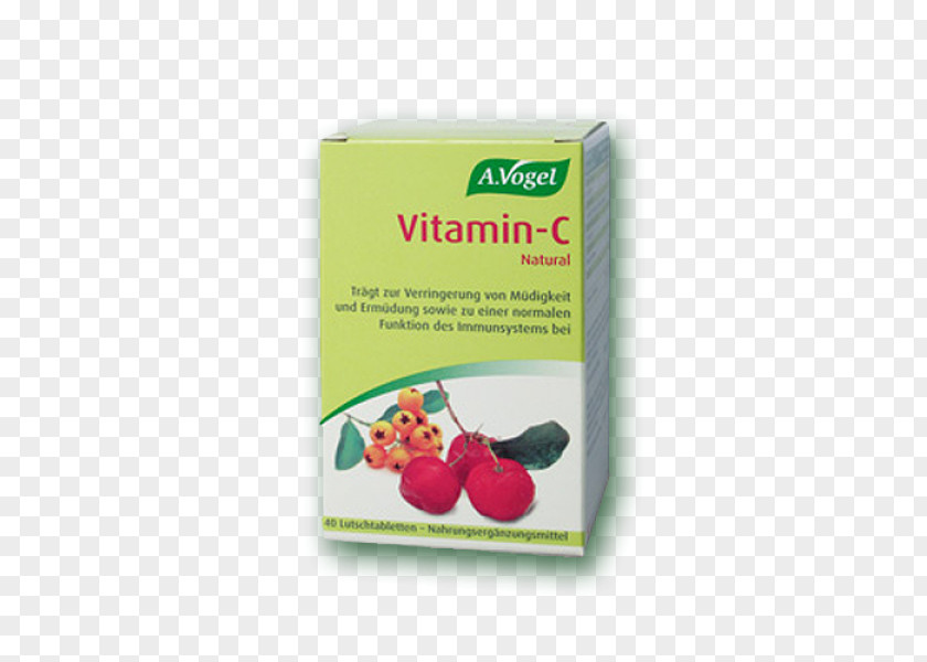 Vitamin C Dietary Supplement Echinaforce Coneflower PNG