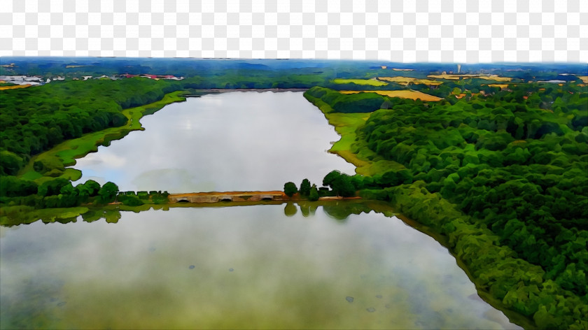 Wetland Riparian Zone Water Resources Pond Floodplain PNG