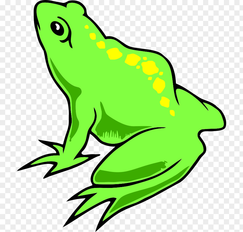 Amphibian Symbol True Frog Clip Art Amphibians Edible PNG