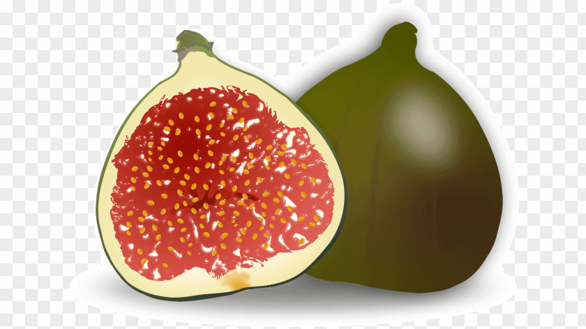 Figs Fruit Common Fig Accessory Clip Art PNG