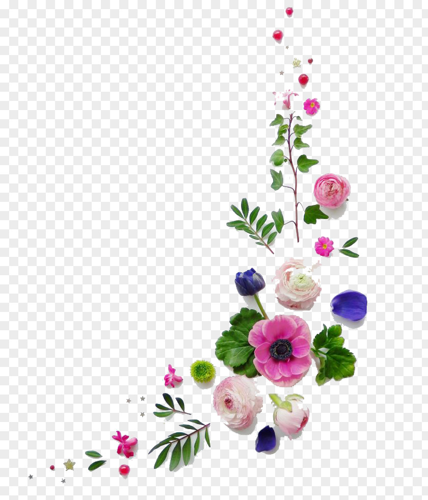 Floral Pattern Flower Happiness Japanese Anemone Gift Mothers Day PNG