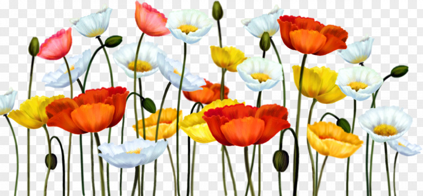 Flower Blog Recipe Clip Art PNG