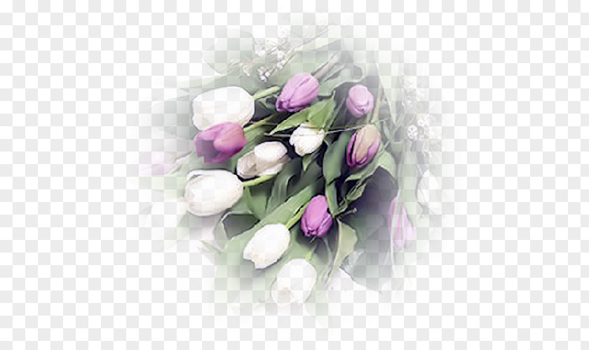 Flower Cut Flowers Bouquet Lady Tulip PNG