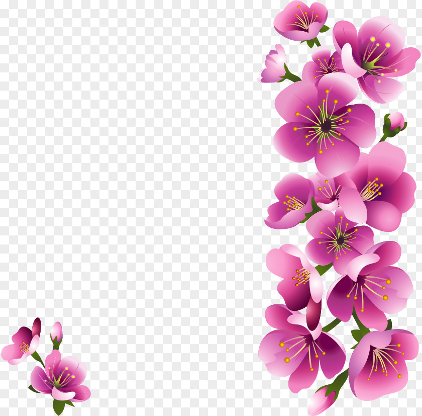 Flower Floral Design PNG