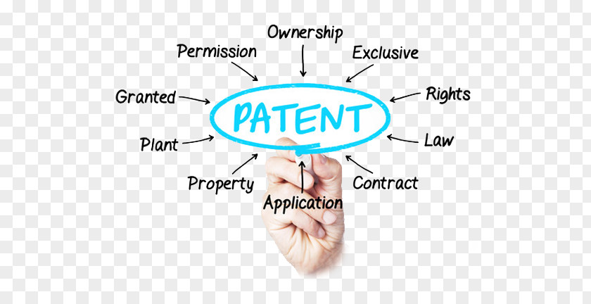 Lawyer Patent Attorney Application Intellectual Property PNG