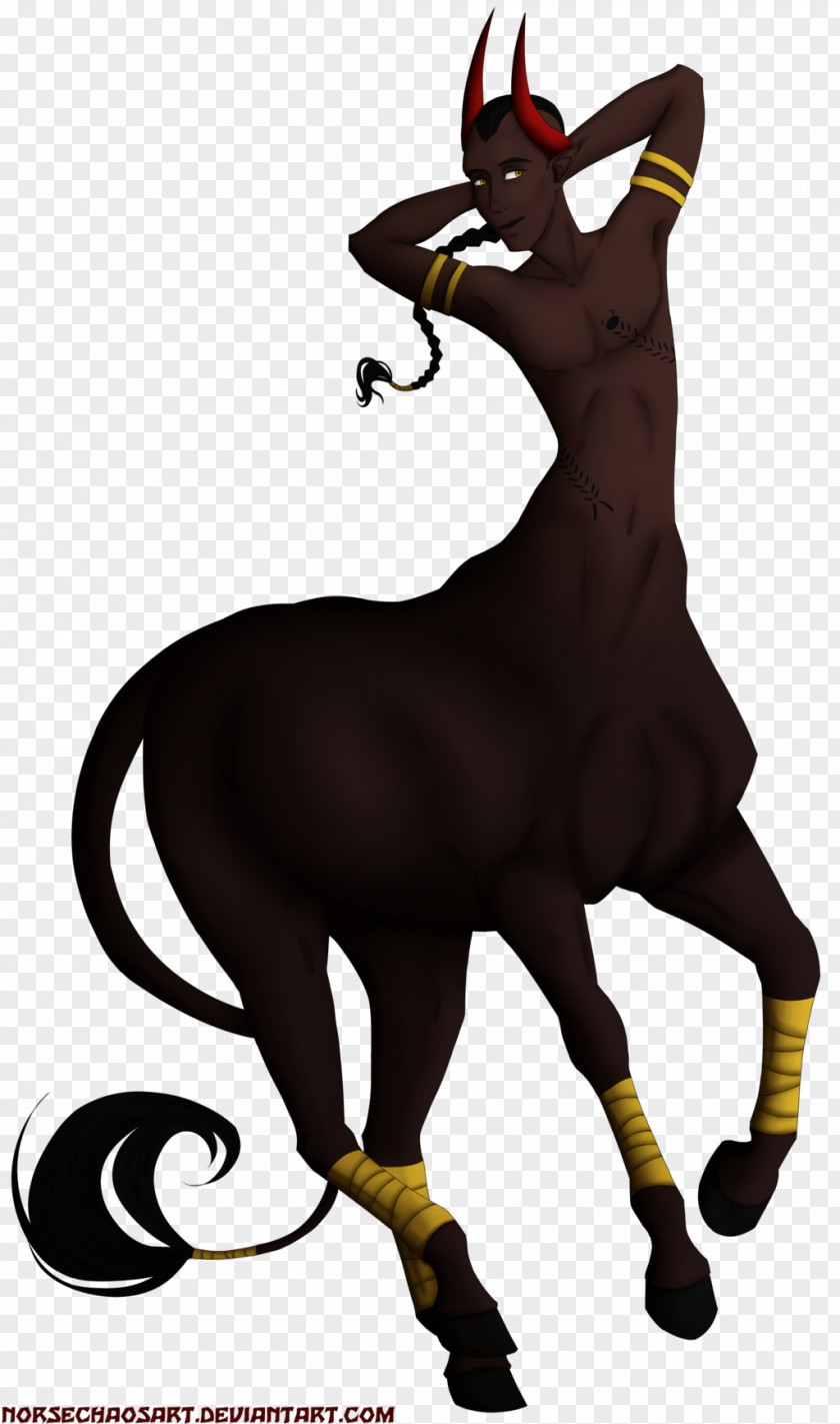 Mustang Donkey Pack Animal Freikörperkultur Clip Art PNG