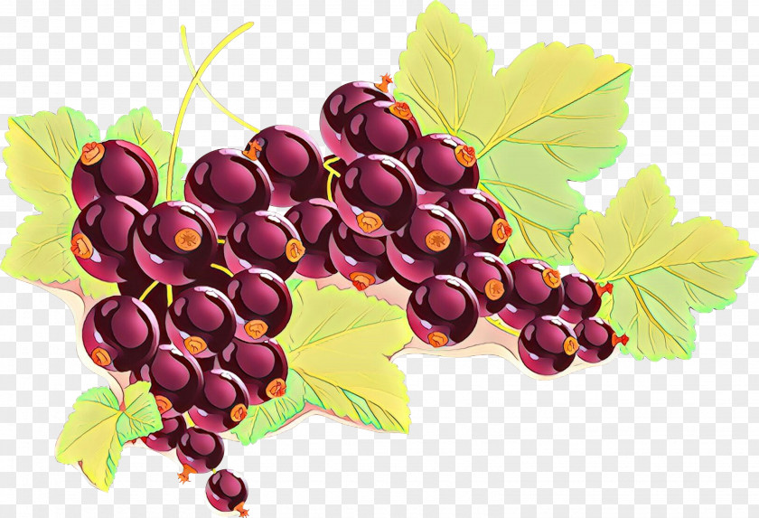 Still Life Photography Berry Leaves Background PNG