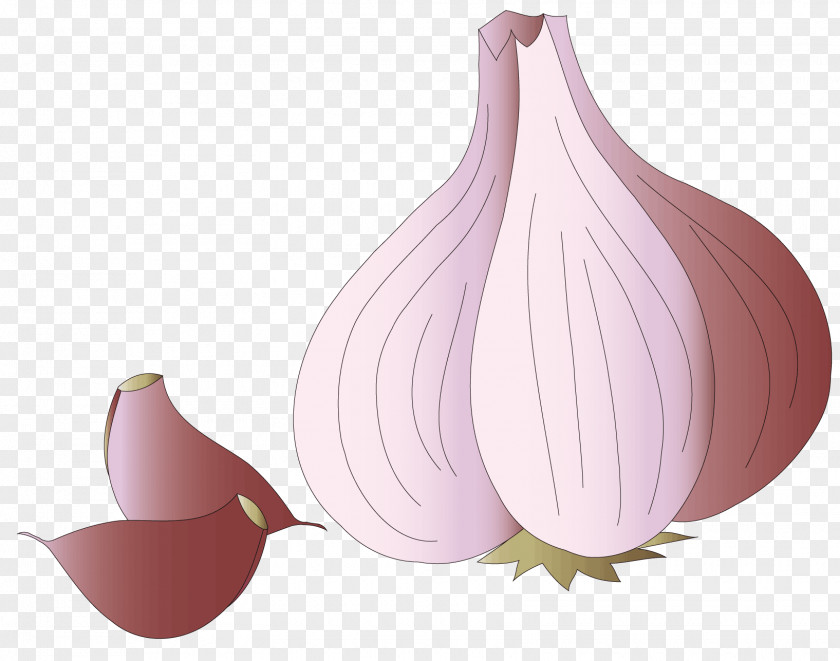 A Garlic Vegetable PNG
