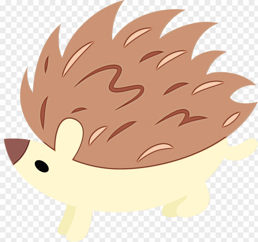 Cat Hedgehog Snout Whiskers Cartoon PNG