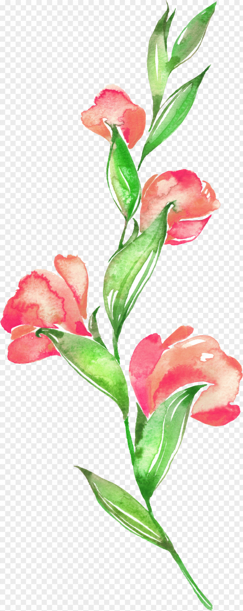 Floral Material Background Design Flower Watercolor Painting PNG