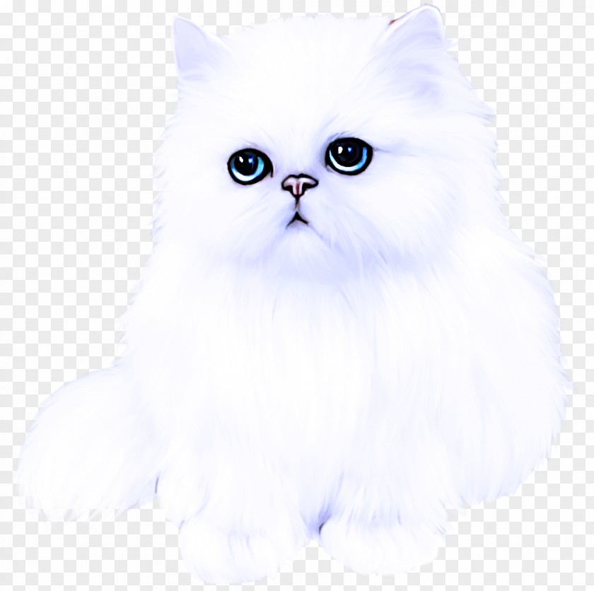 Himalayan Kitten Cat Small To Medium-sized Cats Persian Whiskers British Longhair PNG