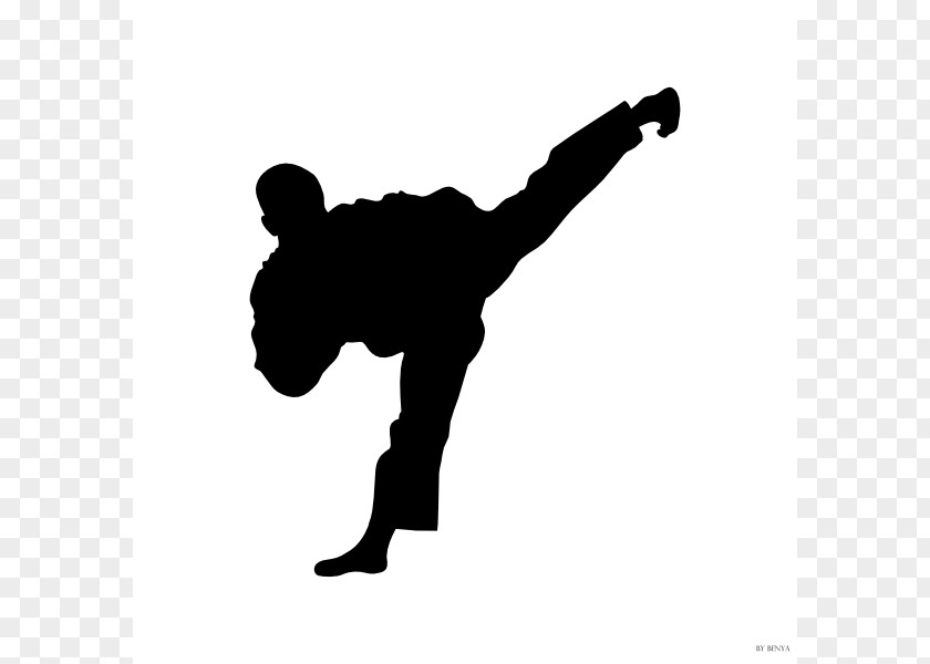Karate Symbols World Taekwondo Silhouette Martial Arts Krav Maga PNG