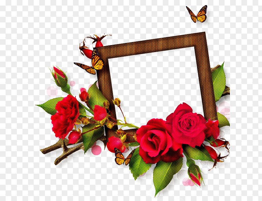 Picture Frame PNG