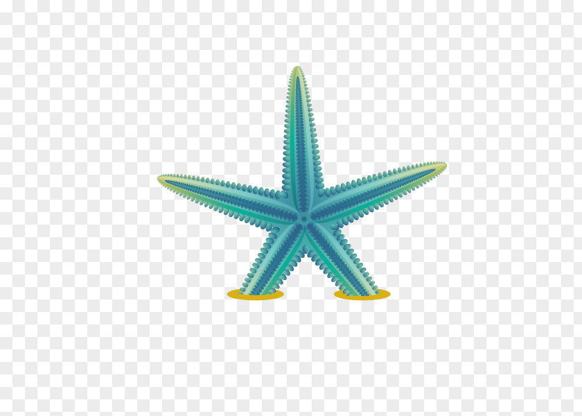 Starfish Beach The Biolab Book Yacht Illustration PNG