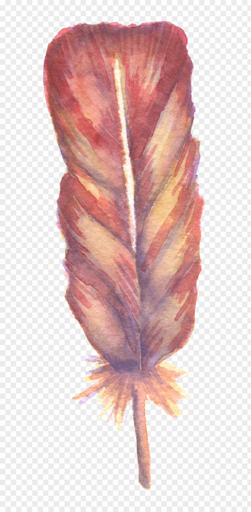 Super Beautiful Fresh Sen Department Watercolor Feather Watercolor: Flowers Painting PNG