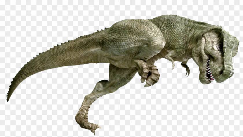 T-rex Tyrannosaurus Velociraptor Extinction Terrestrial Animal PNG