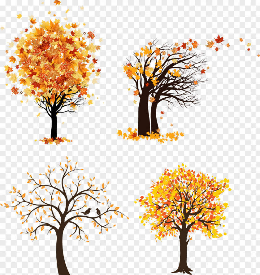 Tree Vector Graphics Clip Art Autumn Maple PNG