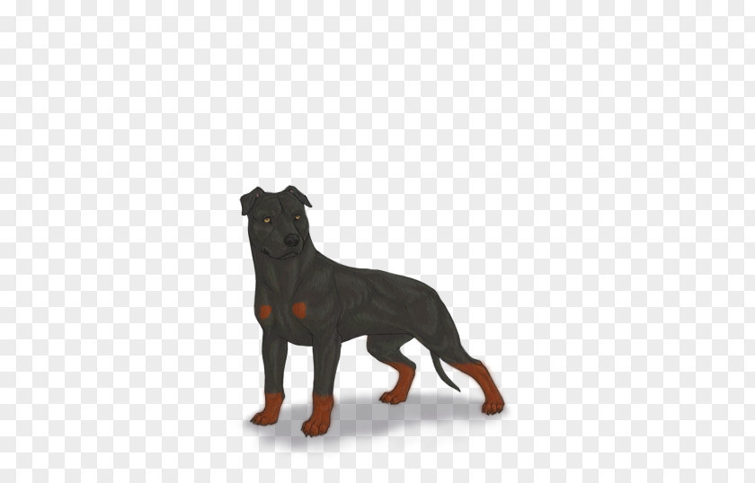 Pit Bull Rottweiler Puppy Dog Breed Snout PNG