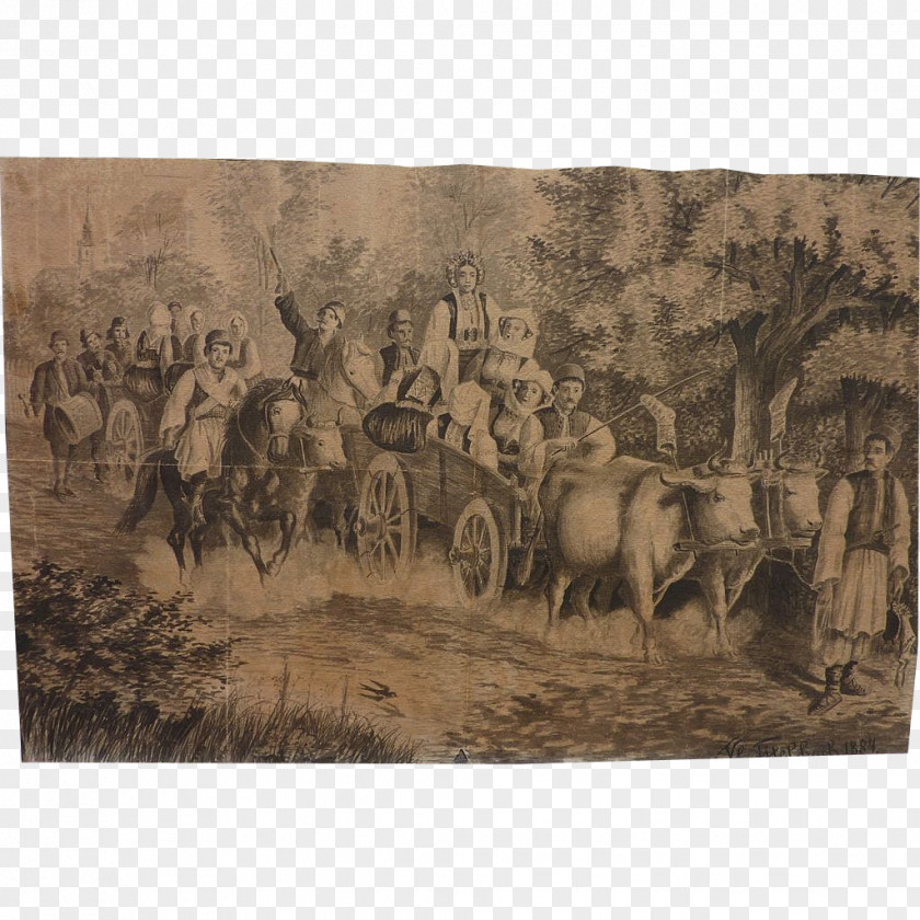 Procession African Elephant Indian Cattle Wildlife Herd PNG