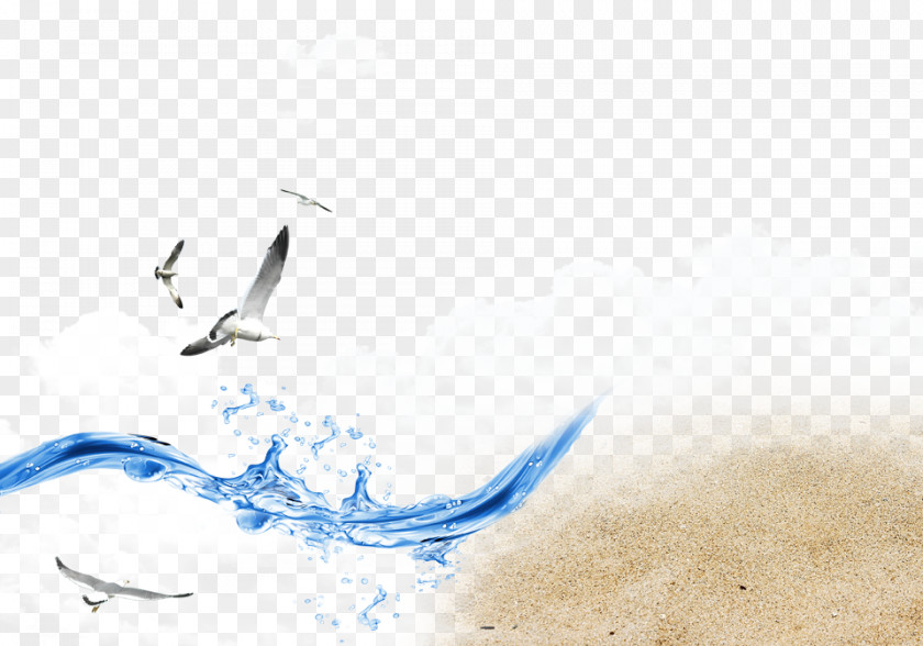Seagull Beach Waves Spray Web Template Wind Wave PNG