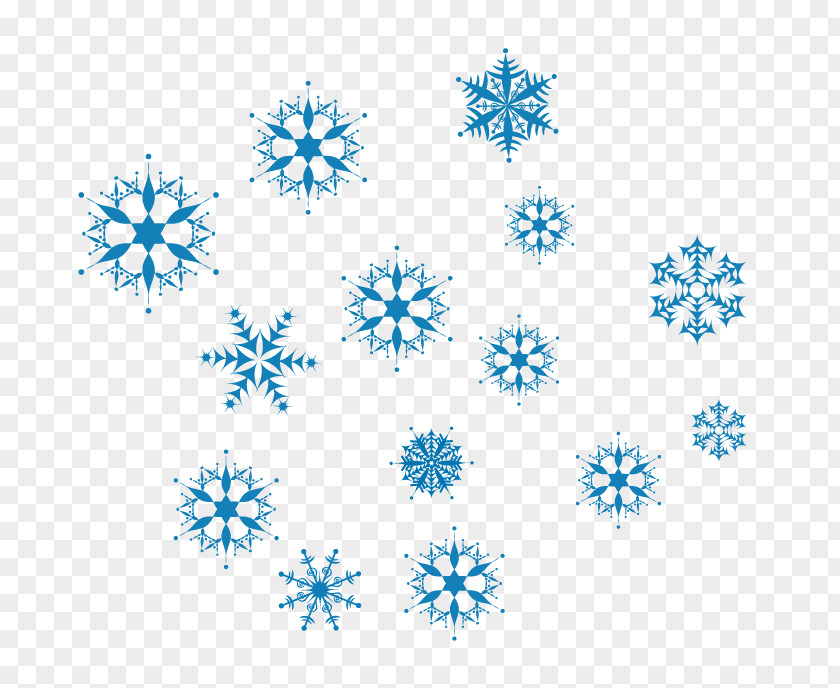 Vector Snowflakes Photography Euclidean Illustration PNG