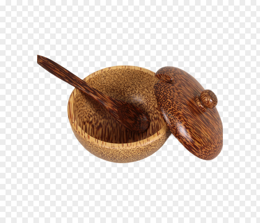 Coconut Batok Tableware Souvenir Spoon PNG