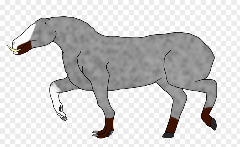 Drake Mustang Pony Foal Mare Stallion PNG