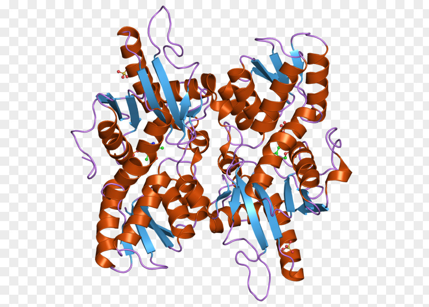 Dwi Soetjipto Histidinol Dehydrogenase Prenyltransferase Enzyme Protein Catalysis PNG
