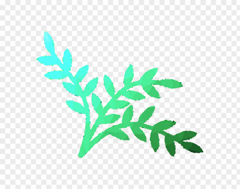 Plant Stem Leaf Font Plants PNG