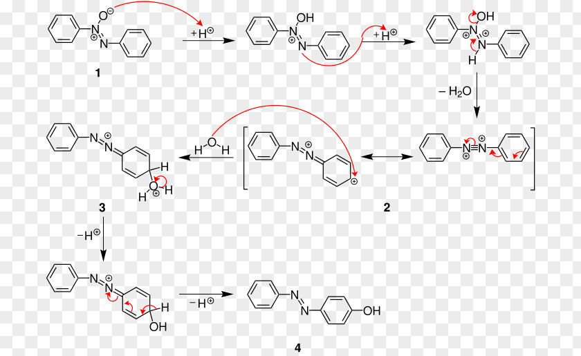 Gives Rearrangement Reaction Wallach Mechanism Fries Organic Chemistry PNG