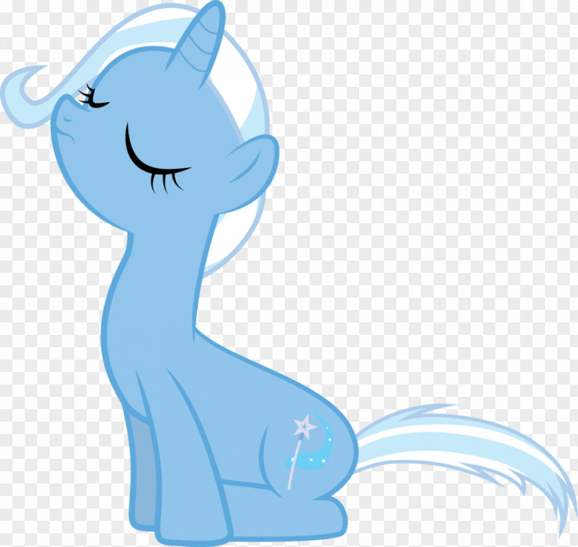 Hat Pony Whiskers Clothing Cape PNG