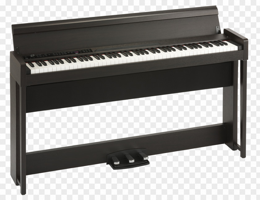 Piano Digital Musical Instruments Londonderry PNG
