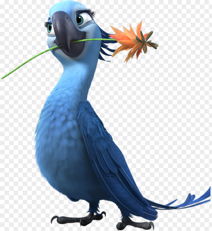 Angry Birds Jewel Blu Nigel Linda Rio PNG