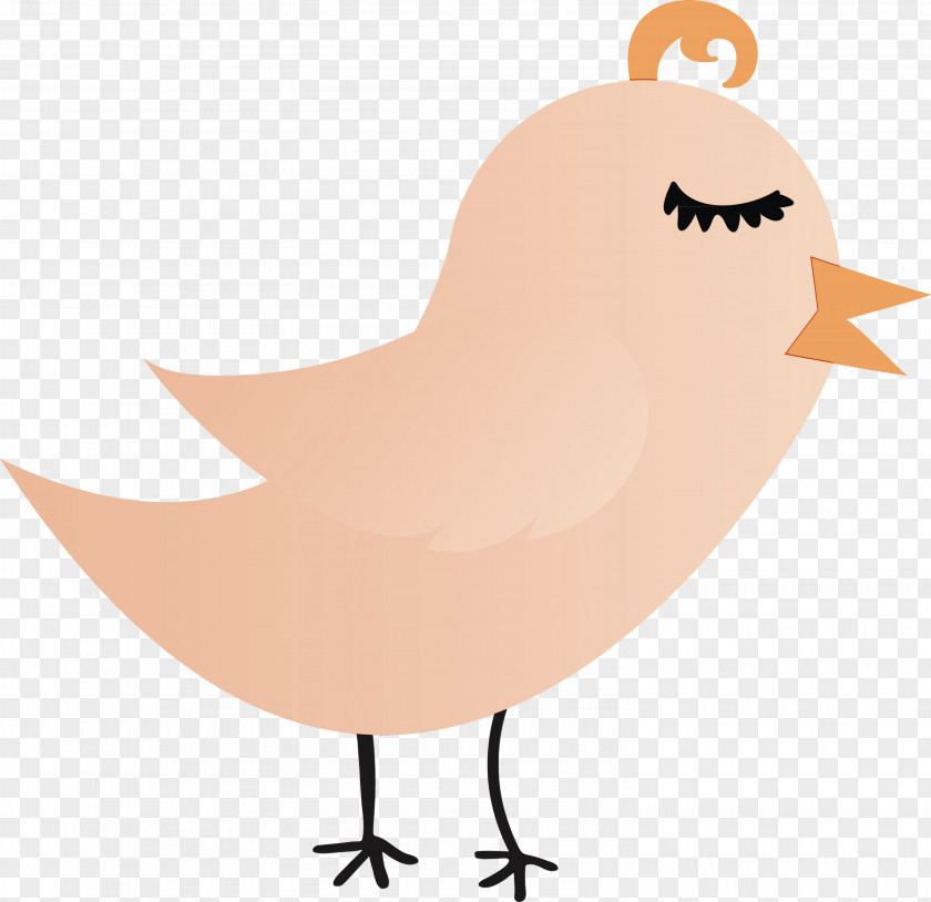 Bird Beak PNG