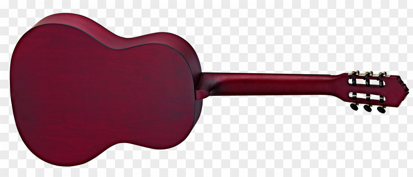 Electric Guitar Acoustic Classical Neck PNG