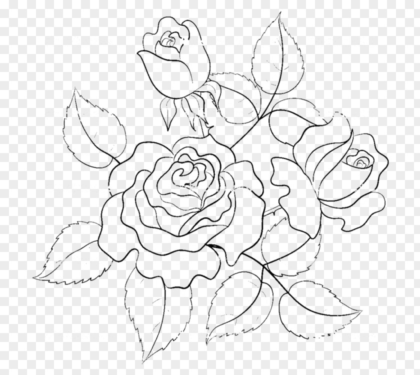 Hand-painted Roses Line Drawing Rose Flower Illustration PNG