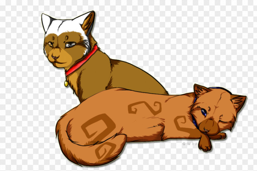 Kitten Whiskers Dog Cat Paw PNG