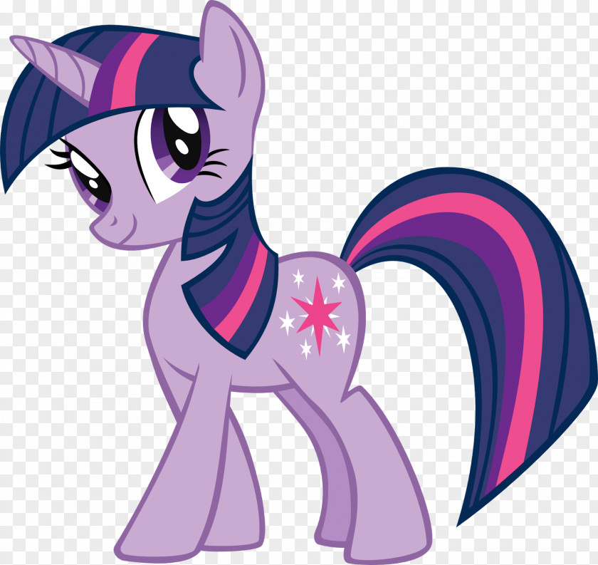 Twilight Sparkle My Little Pony Pinkie Pie Rainbow Dash PNG