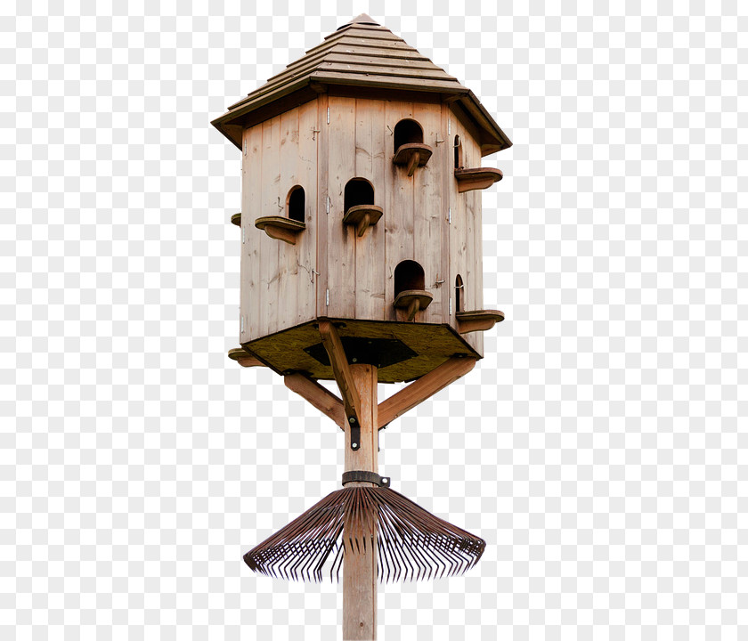 Vogelhaus Columbidae Dovecote Wood House Bird PNG