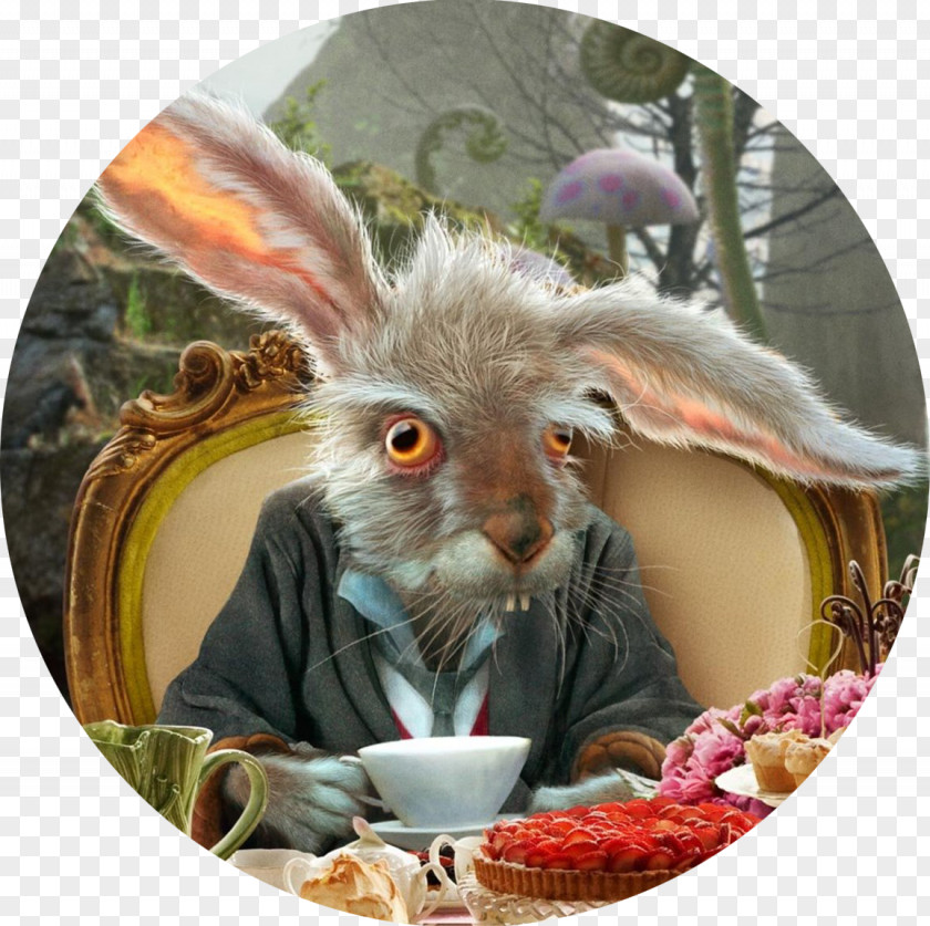Alice In Wonderland White Rabbit The Mad Hatter Caterpillar Alice's Adventures Red Queen PNG