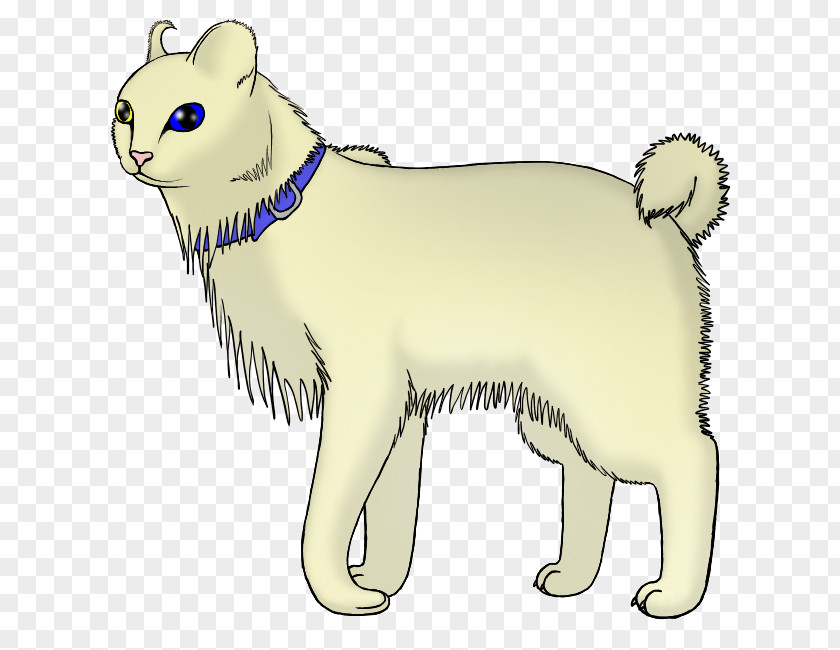 Dog Whiskers Cat Snout Paw PNG
