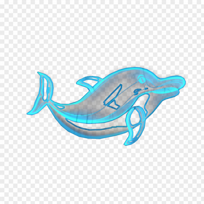 Dolphin Porpoise Turquoise Whales Marine Biology PNG